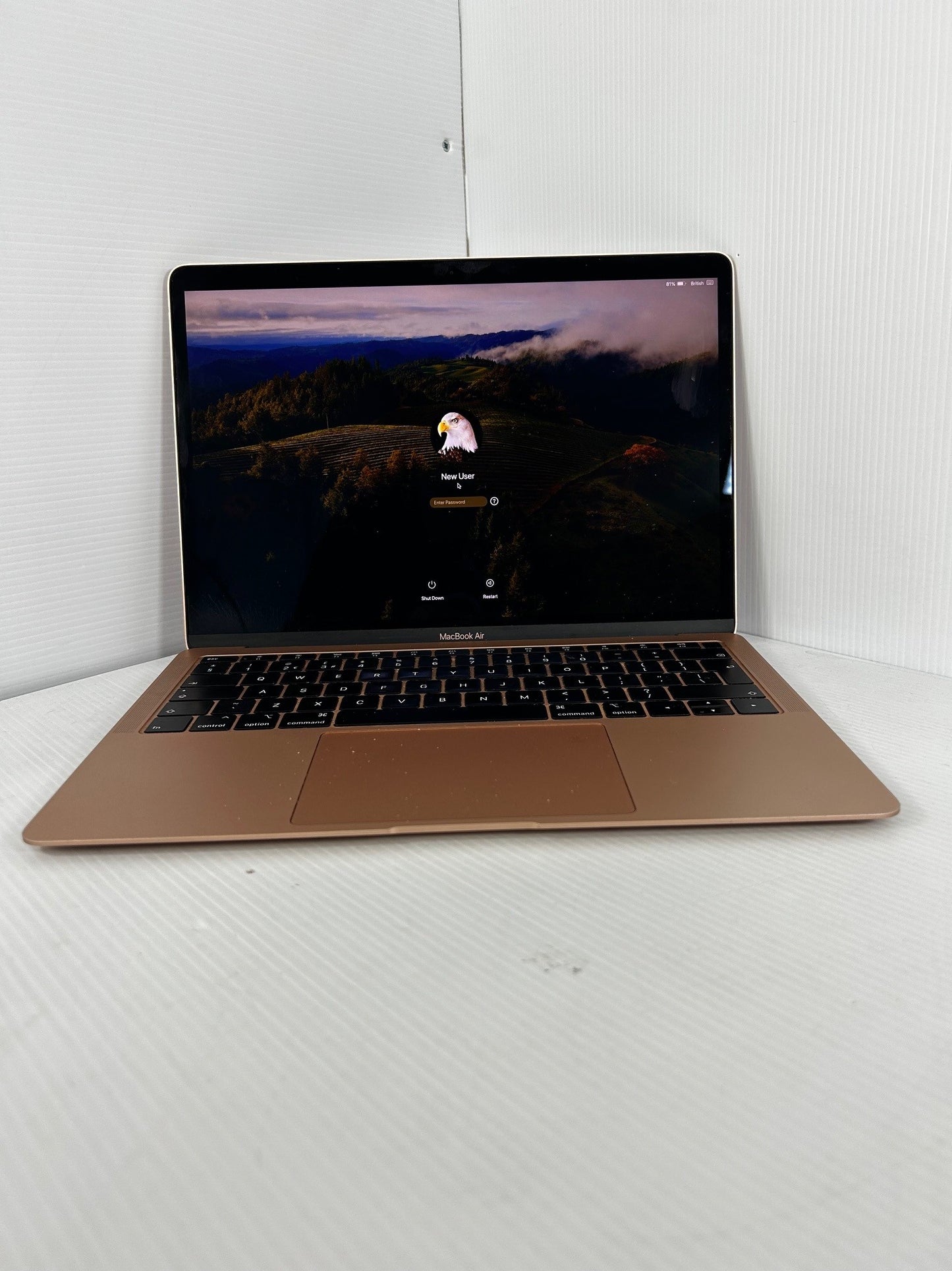 Apple MacBook Air "Core i5" 1.6 13" (True Tone, 2019)
