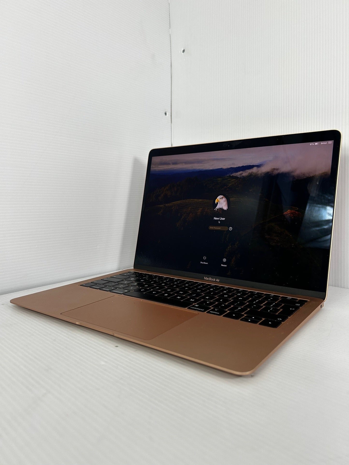 Apple MacBook Air "Core i5" 1.6 13" (True Tone, 2019)