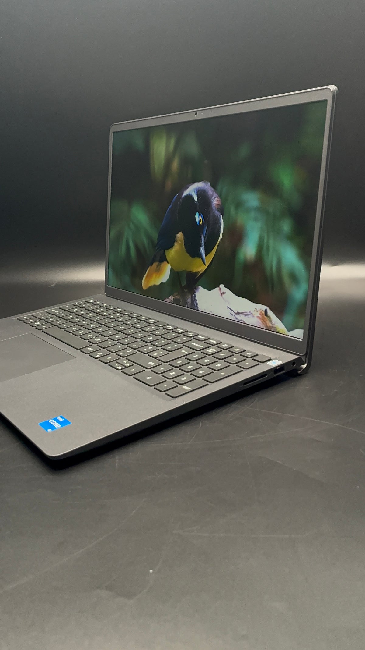 Dell Pro 15 Essential